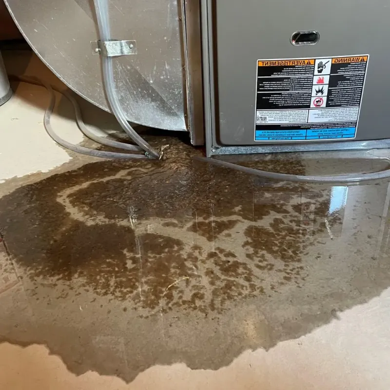 Pipe Burst and Leak Restoration in Okarche, OK
